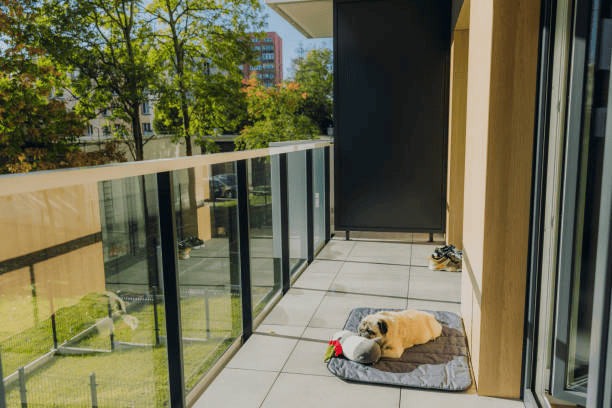 Pet Friendly Apartments in Cambridge: What to Know Before You Sign a Lease
