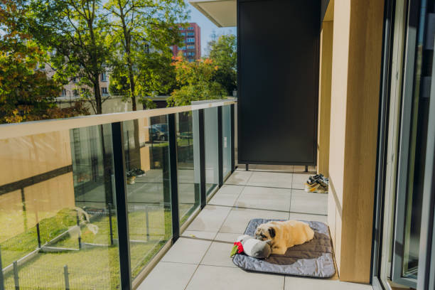 Pet Friendly Apartments in Cambridge: What to Know Before You Sign a Lease